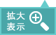 拡大表示